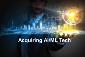Read more about the article CIO’s considerations while acquiring AI/ML Capabilities
